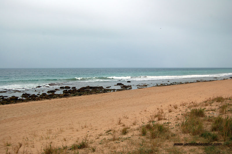 Playa de La Mangueta