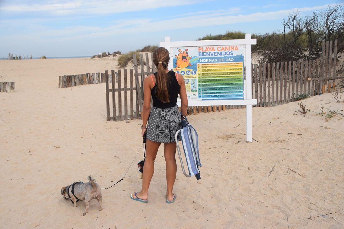 Desempacando Pescador estimular Playa para perros en Camposoto - La Costa de Cádiz
