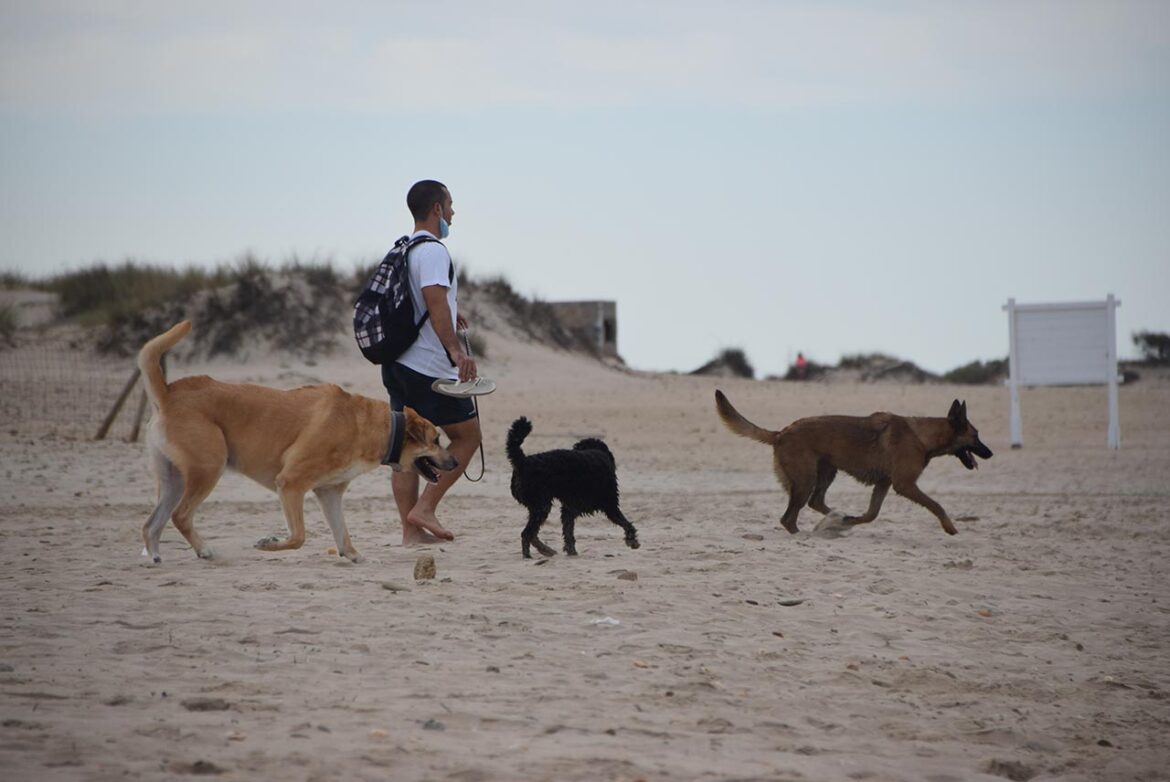 Playa para perros en Camposoto