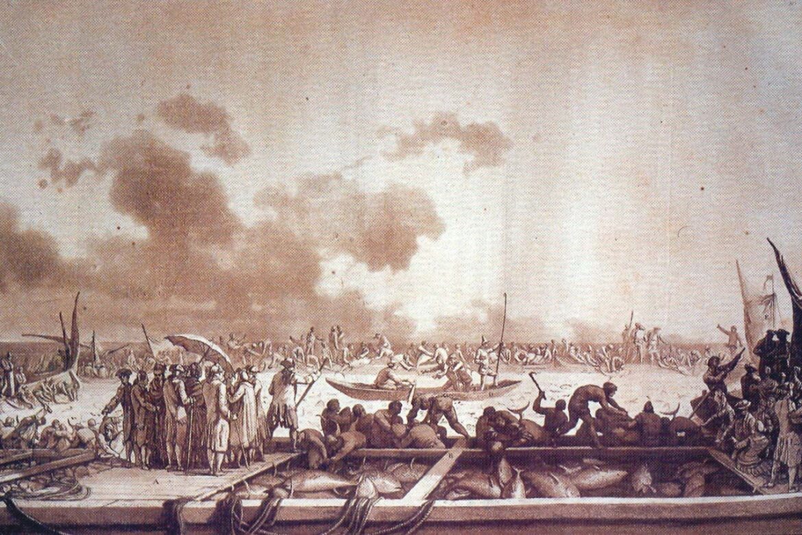 Captura de atunes en copos de almadrabas