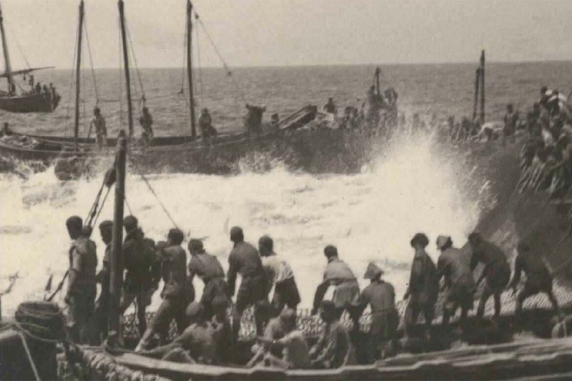 Captura de atunes en una almadraba gaditana antigua