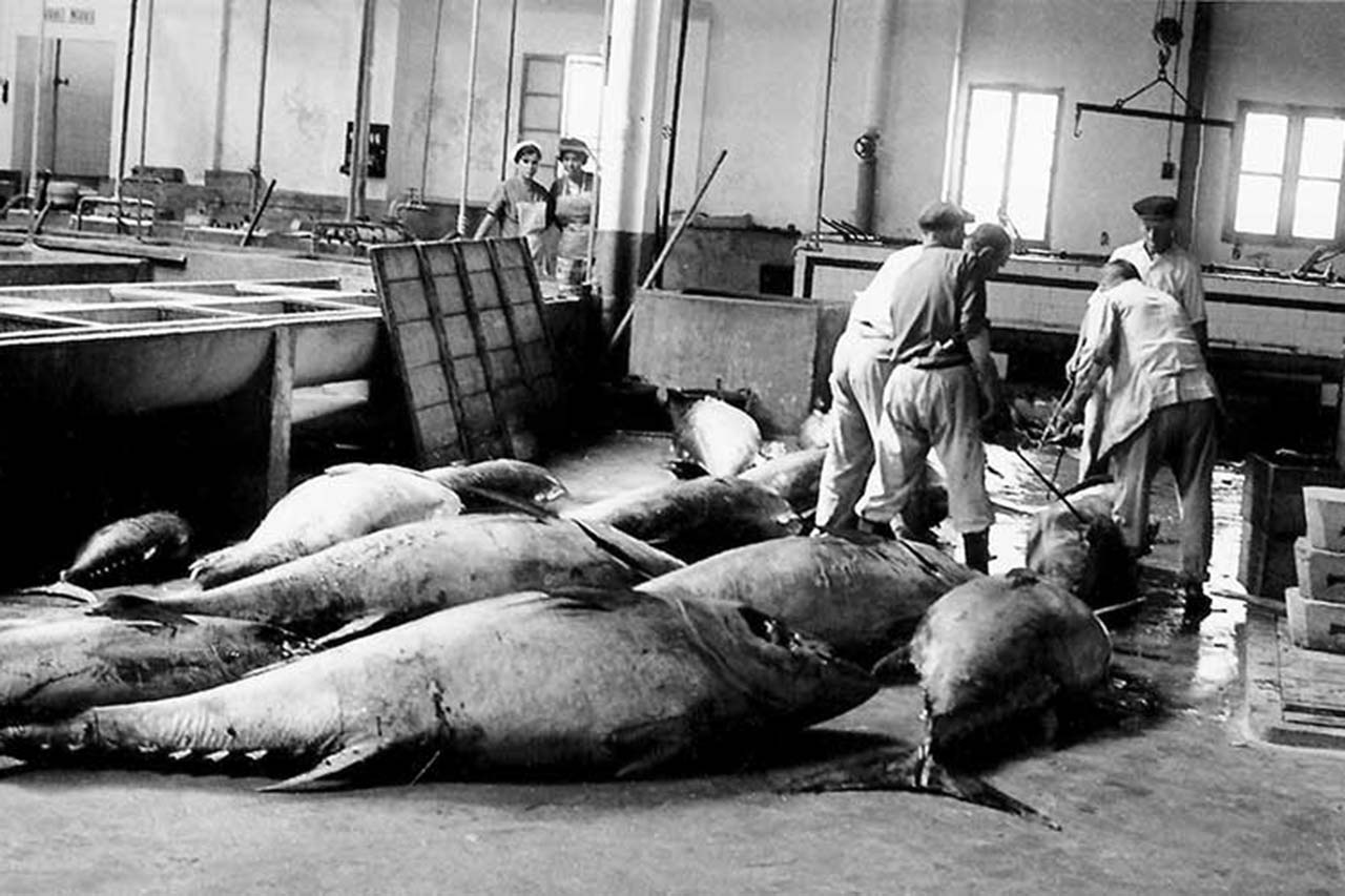 Consorcio Nacional Almadrabero