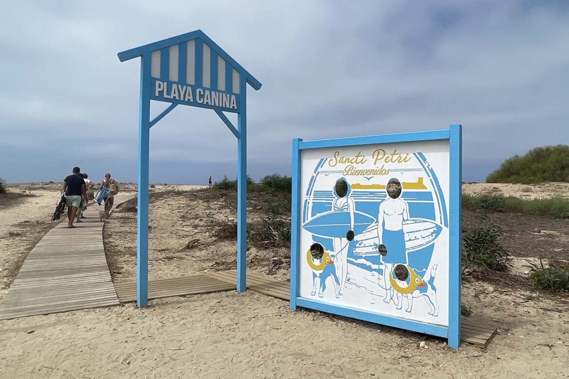 Playa canina Sancti Petri