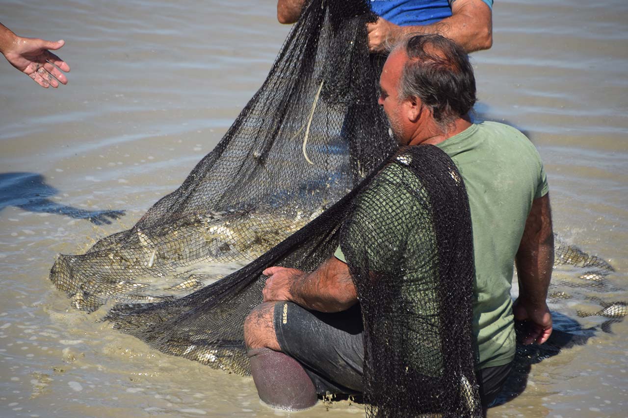 Despesque en Salina Santa Teresa