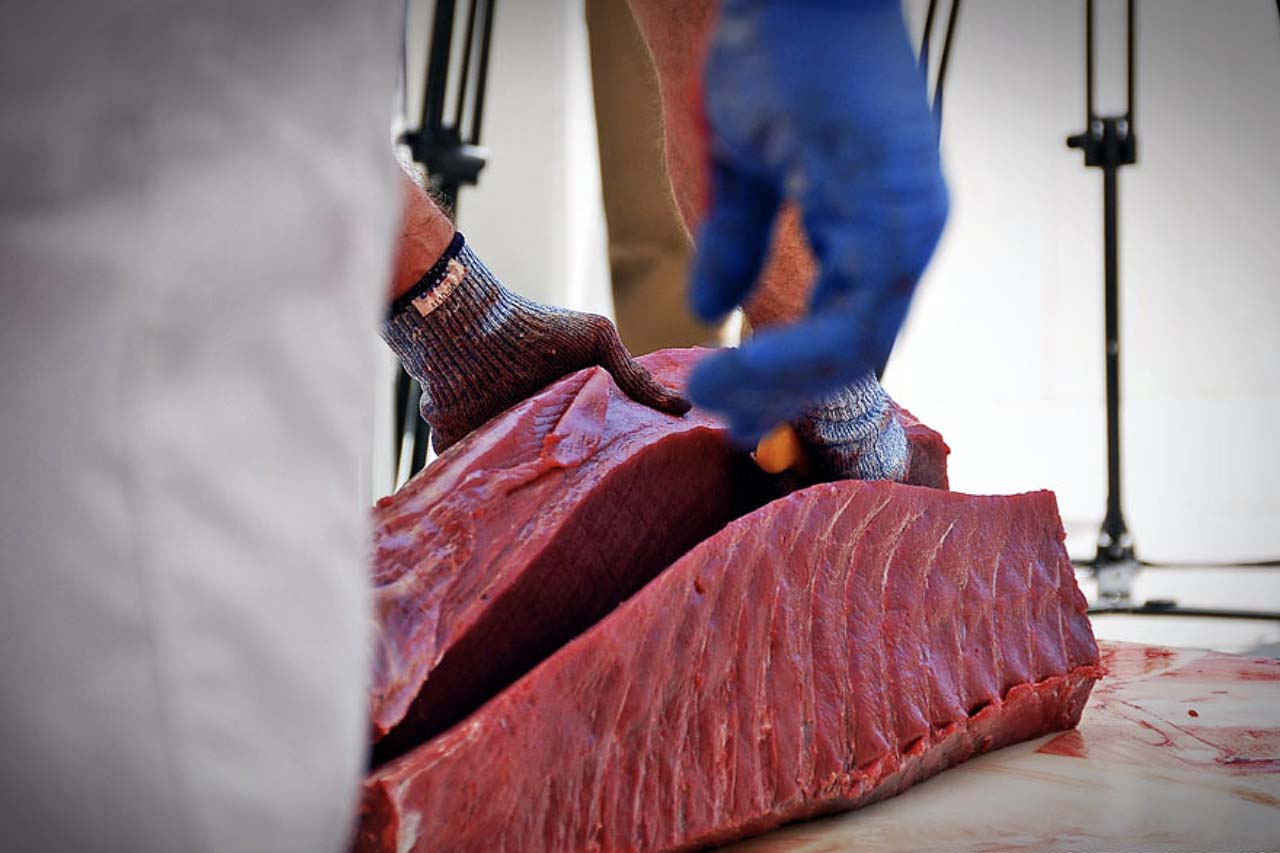 Atún rojo de almadraba