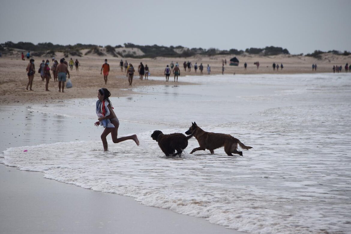 Playa para perros en Camposoto