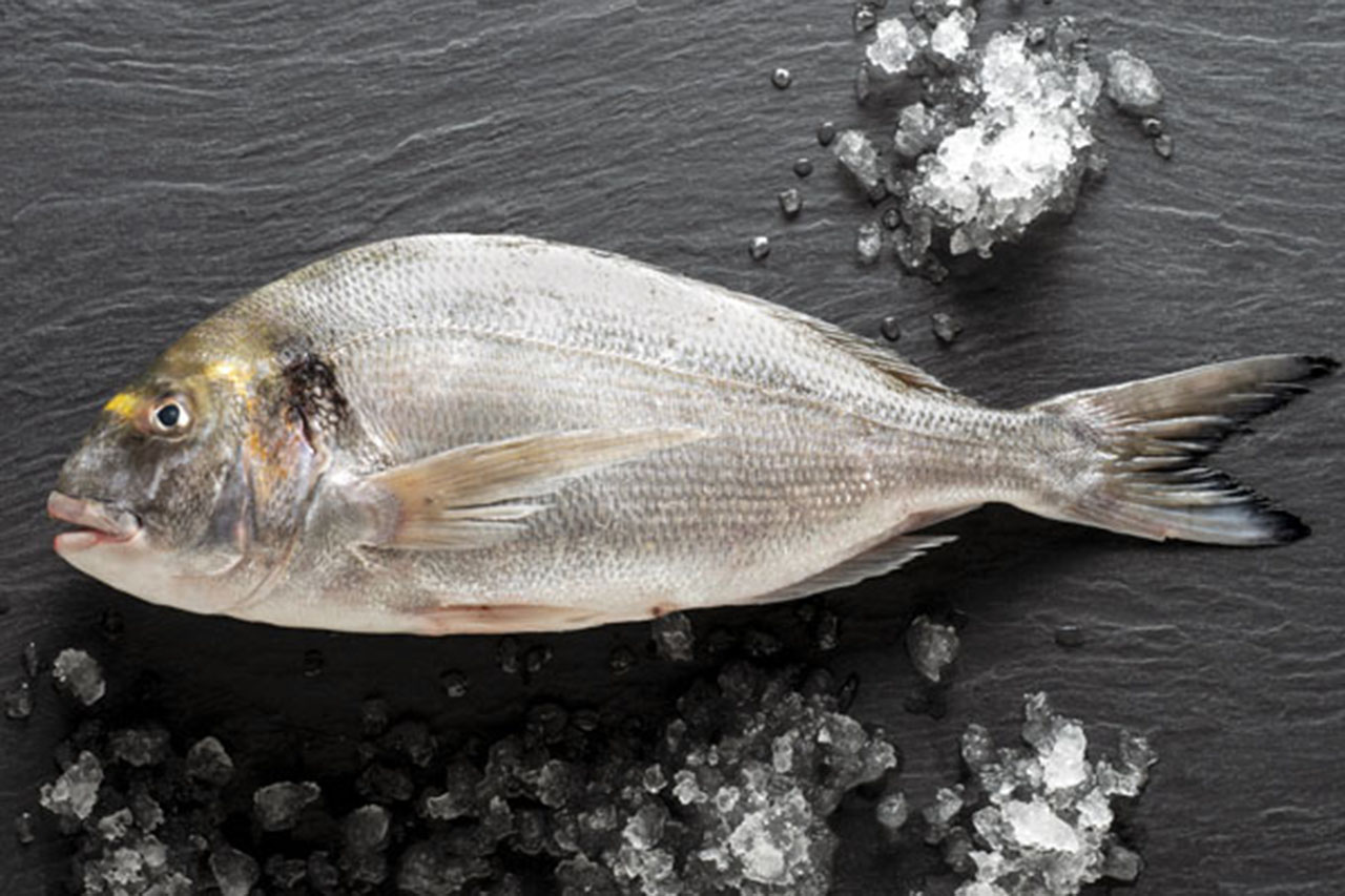 Dorada